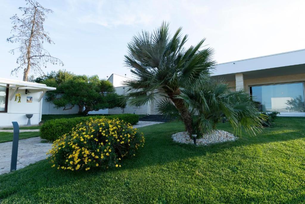 Villa Dalesco Leverano Εξωτερικό φωτογραφία